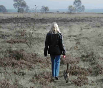 Laura en Zorro wandelen op de hei.